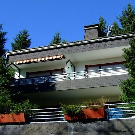 Ferienwohnung Napierski Willingen  Dış mekan fotoğraf