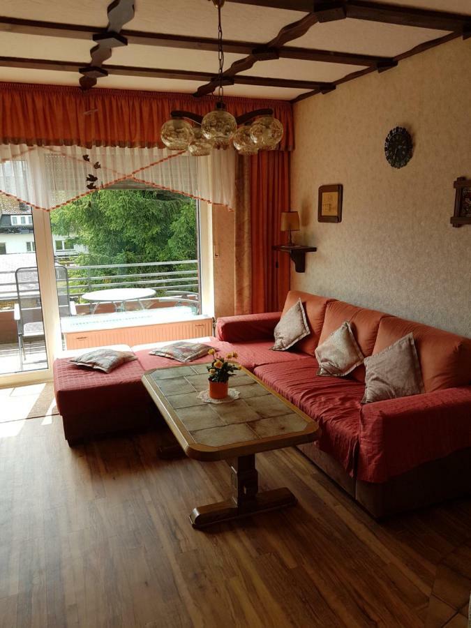 Ferienwohnung Napierski Willingen  Dış mekan fotoğraf