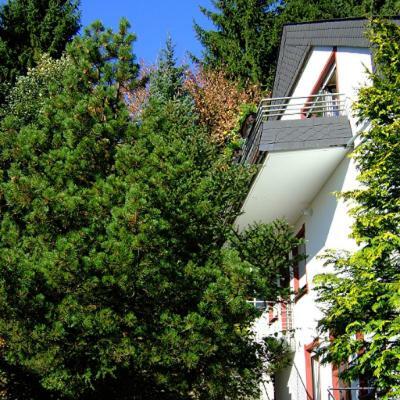 Ferienwohnung Napierski Willingen  Dış mekan fotoğraf